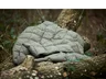 Miniatyrbilde 21 av Grønn Xplore It Outdoor Nylon Dunpledd