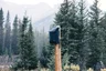 Miniatyrbilde 10 av Svart Swiss Peak Fern AWARE RPET Ryggsekk