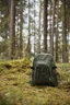 Miniatyrbilde 7 av Grønn Vinga Parks Kjøleryggsekk