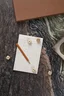 Miniatyrbilde 8 av Brun Vinga Samleboks med Spill