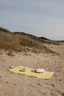 Miniatyrbilde 4 av Gul Vinga Arwe GRS rPET Piknikpledd