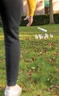 Miniatyrbilde 7 av Brun XD Collection Tre Scattersett