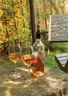 Miniatyrbilde 6 av Sølvfarget XD Collection Vino Vinkjøler Gavsett