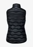 Miniatyrbilde 2 av Black Nimbus Vermont  Dunvest Dame