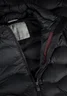 Miniatyrbilde 4 av Black Nimbus Vermont  Dunvest Dame