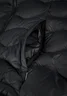 Miniatyrbilde 5 av Black Nimbus Vermont  Dunvest Dame