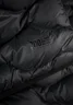Miniatyrbilde 6 av Black Nimbus Vermont  Dunvest Dame