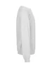 Miniatyrbilde 2 av Ash Grey Neutral Collegegenser